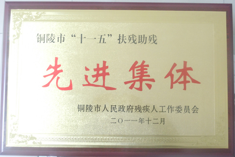 铜陵市&ldquo;十一五&rdquo;扶残助残先进集体